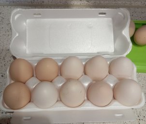 куриные яйца домашние